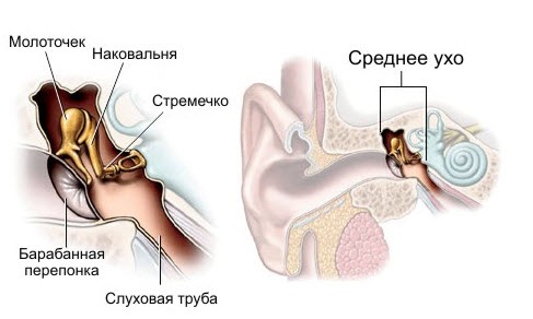 Воспаление уха у ребёнка: причины, симптомы, лечение
