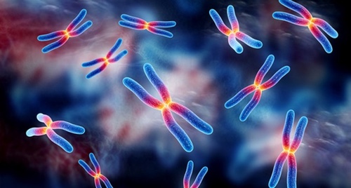 Хромосомные патологии плода: что это такое, маркеры, расшифровка