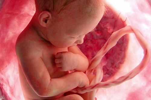 Почему ребенок икает в утробе матери: возможные причины и рекомендации